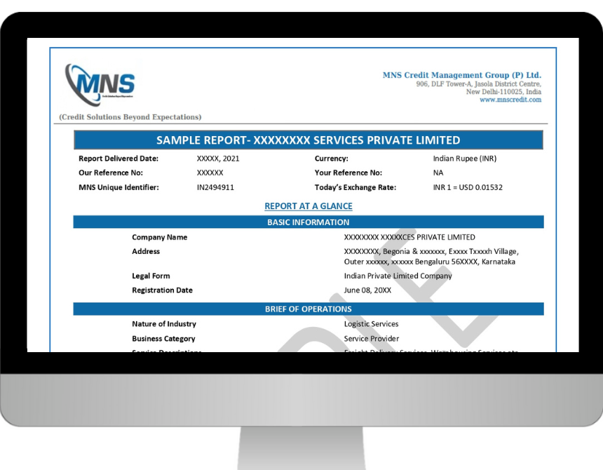 Product: Business Information Reports