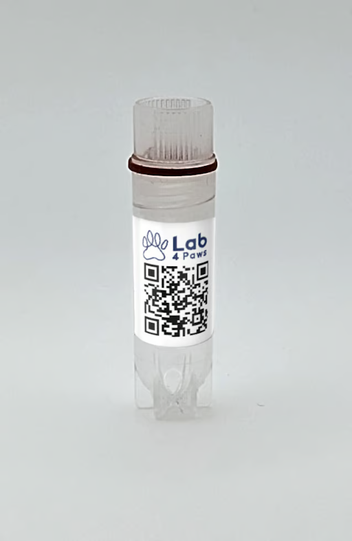Product: Alpaca PBMCs