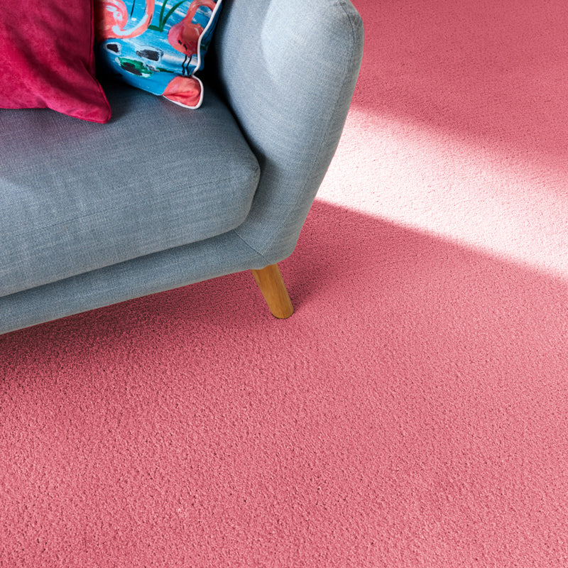 Product: Pink Carpet: Do you dare?