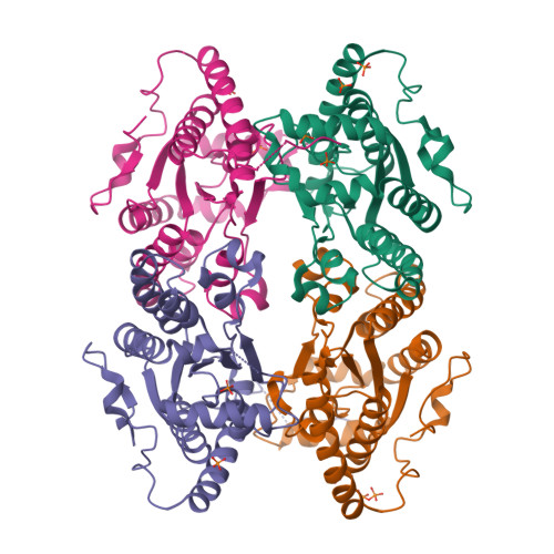 Product: PPK - Polyphosphate Kinase