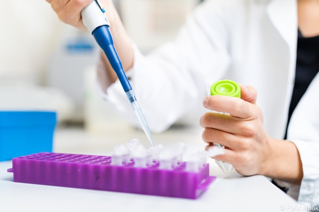 Product: NTP - Custom Synthesis