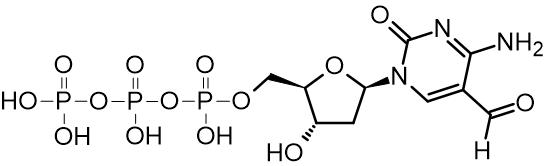 Product: 5fo-dCTP