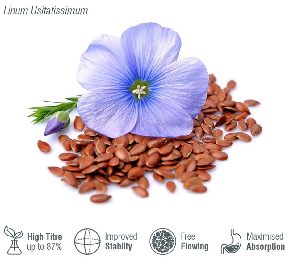 Product: Linseed Oil - FL 037