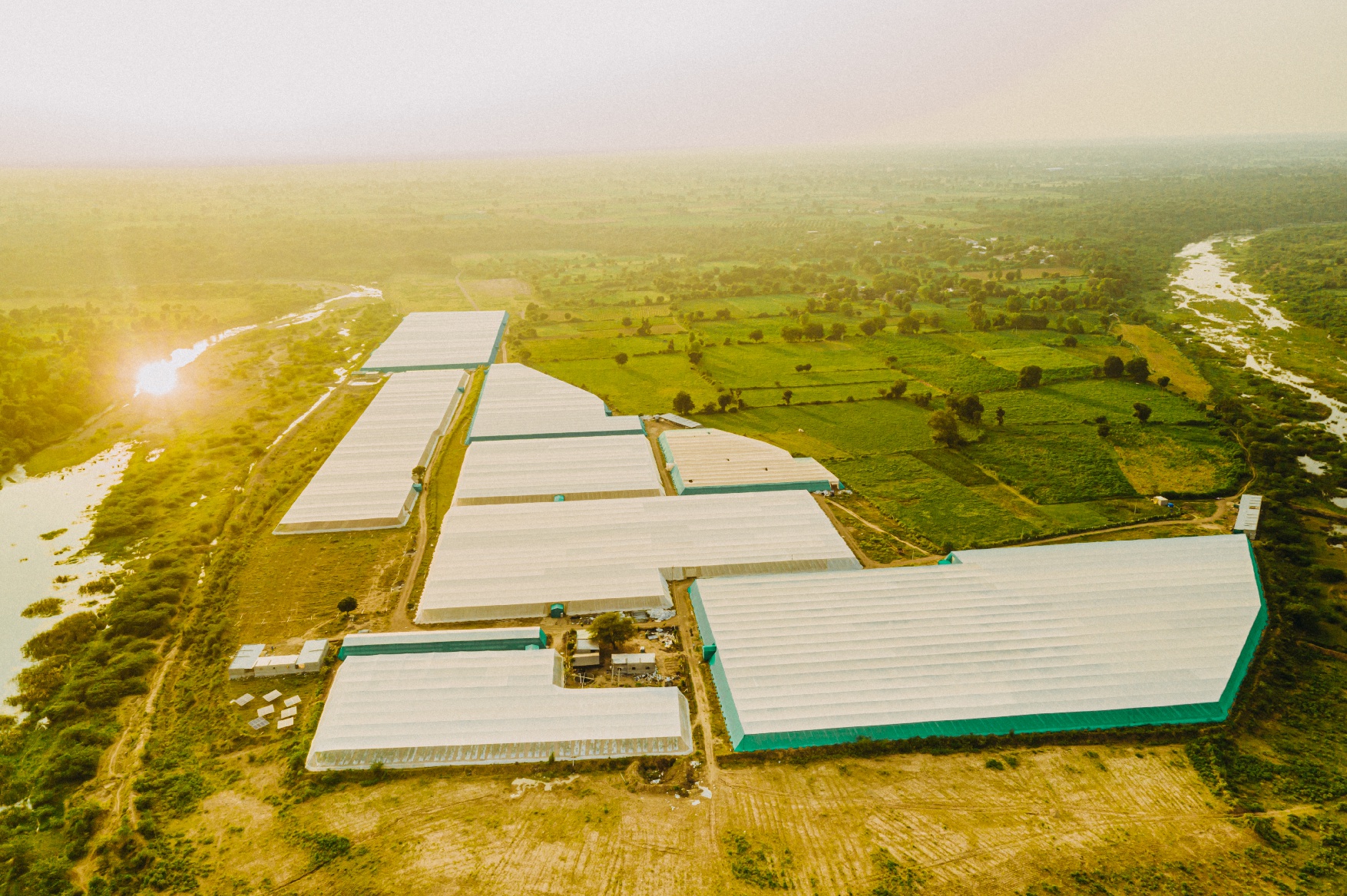 Top 65 Agriculture Companies In Ghana 2025 Ensun Top 65 Agriculture Companies In Ghana 2025 Ensun