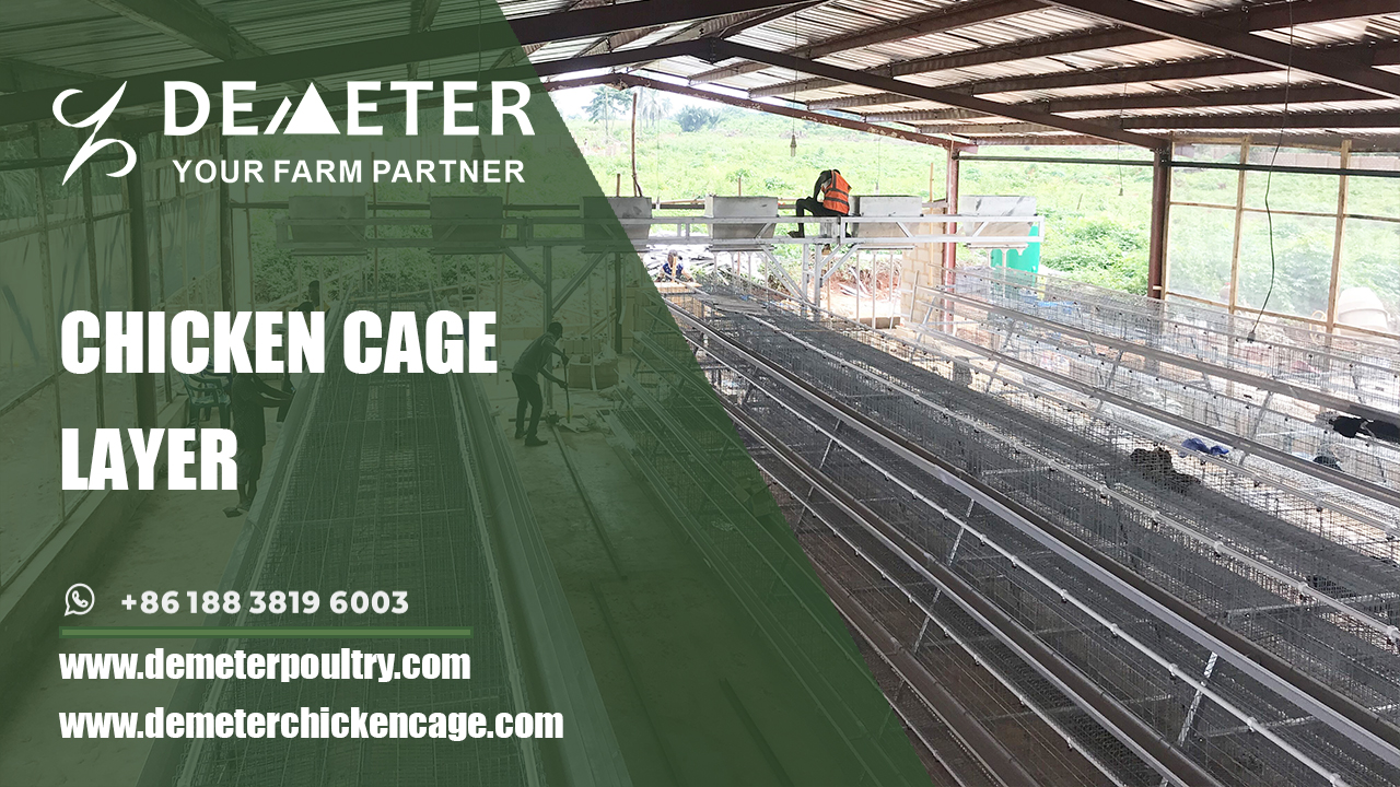Product: Chicken Cage