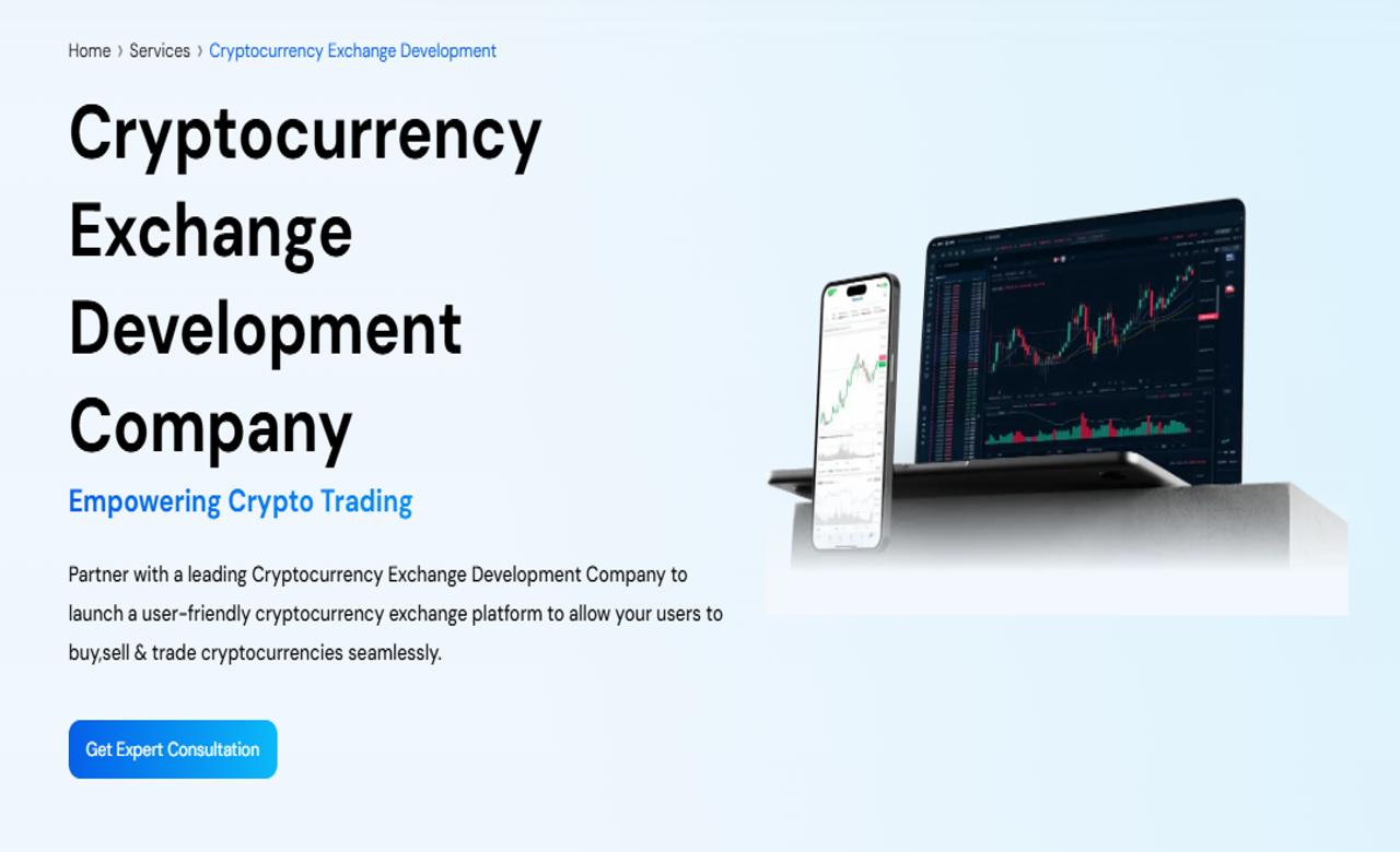 Cryptocurrency platform development company (99) foto