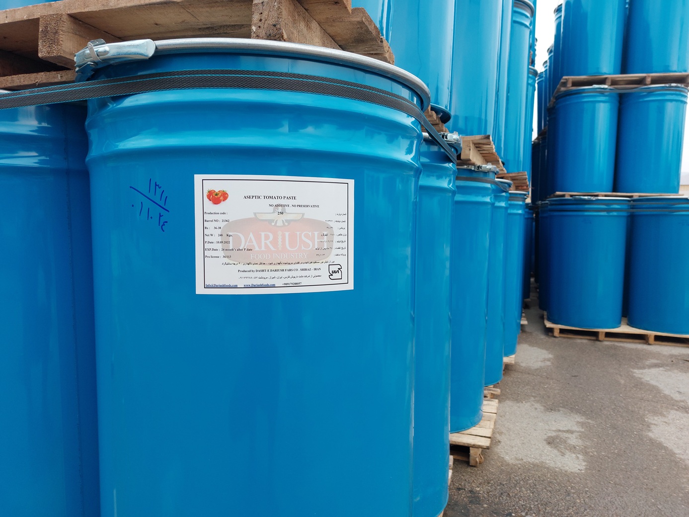 Top 100 Tomato Paste Manufacturers in 2025 | ensun