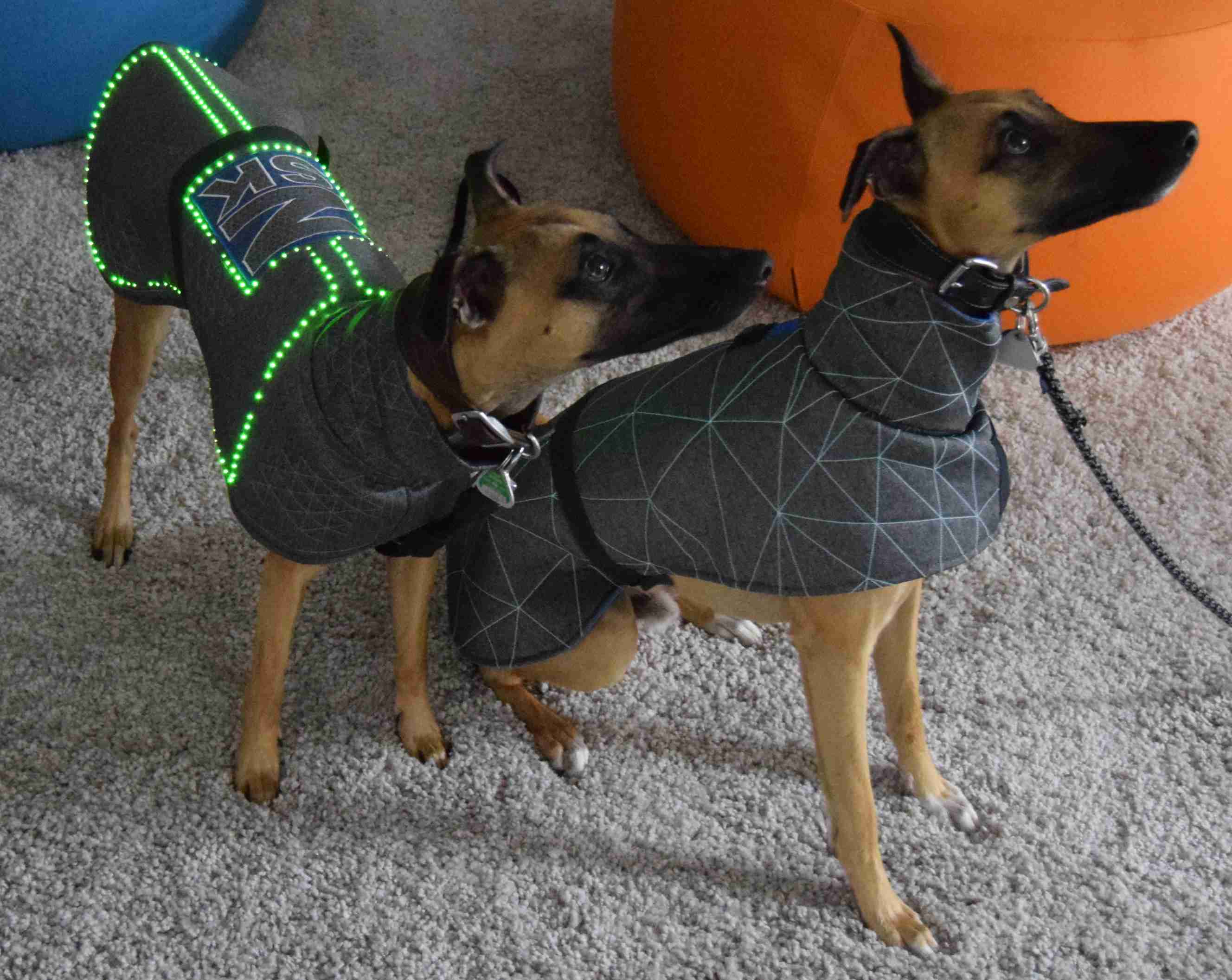 UseCase: Heating & Lighting Dog Jackets