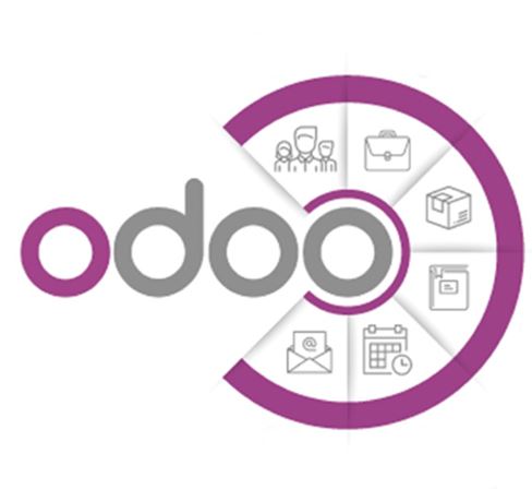 UseCase: Odoo Development for an E-Commerce Business